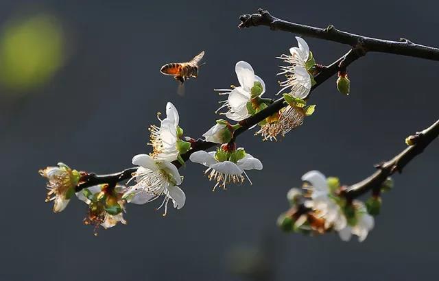 微信圖片_20180314150026.jpg 微信圖片_20180314150026.jpg