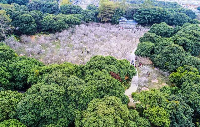 微信圖片_20180314150223.jpg 微信圖片_20180314150223.jpg